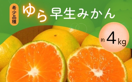 【先行予約】＼光センサー選別／＼農家直送／甘くて濃厚！希少品種 ご家庭用 ゆら早生みかん　約4kg 　サイズ混合【2026年10月上旬頃より順次発送】【nuk162B】