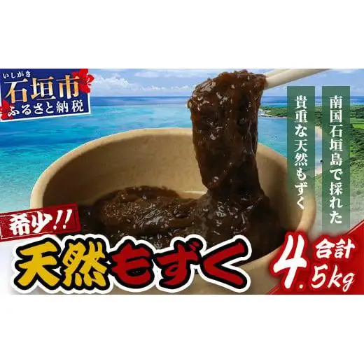 石垣島産天然もずく10パック・内容量450g×10 合計4.5kg 　SI-64