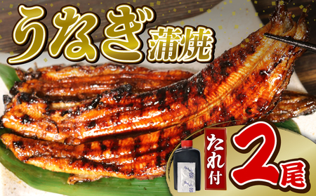 うなぎ 大姿焼き 140g 2尾 鰻 鰻