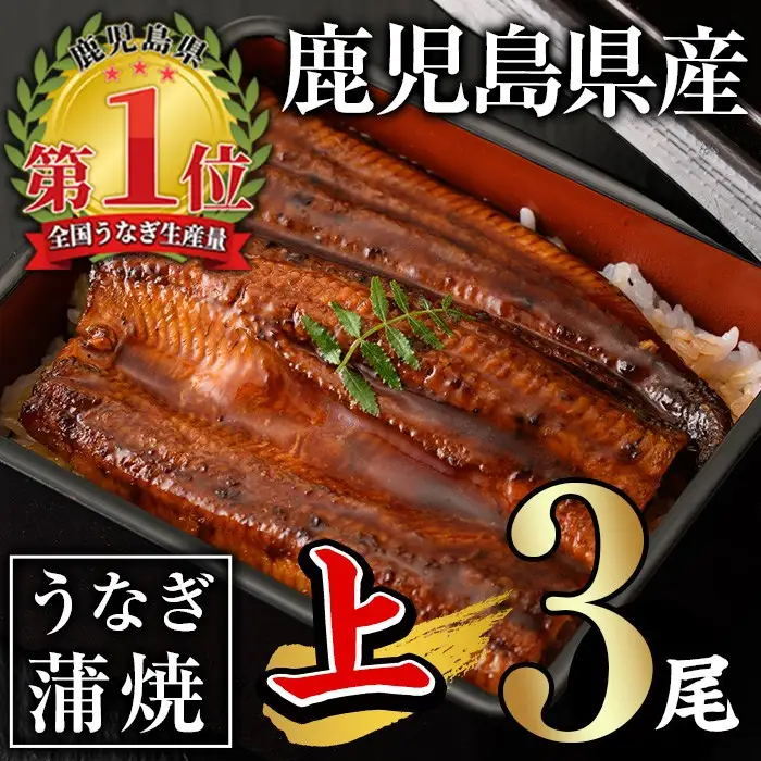 うなぎ 無投薬 鹿児島県産 ＜上＞(合計420g以上・ 140g以上×3尾) うなぎ 【西日本養鰻】A505-v01