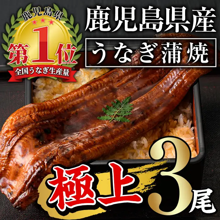 うなぎ 無投薬 鹿児島県産 ＜極上＞(計560g以上・ 160g～236g×3尾) うなぎ【西日本養鰻】A507-v01