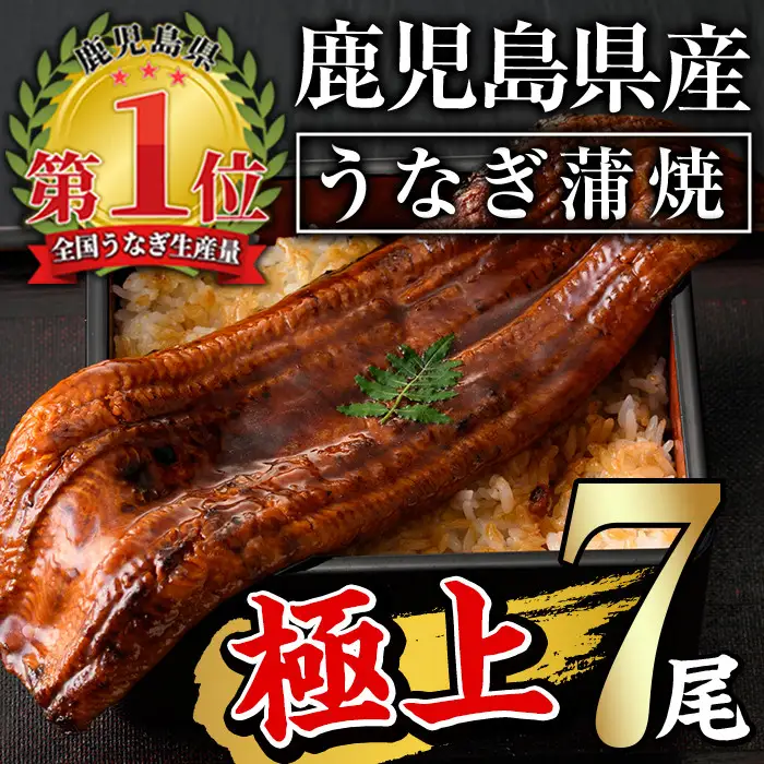 うなぎ 無投薬 鹿児島県産 ＜極上＞(計1.3kg以上・ 160g～236g×7尾) うなぎ【西日本養鰻】D30-v01