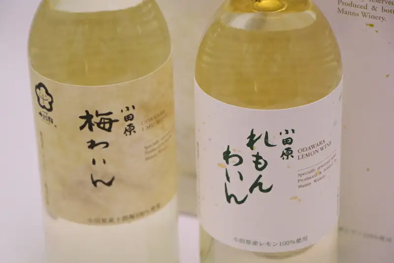 城下町小田原の飲み比べわいんＡセット(2本セット)【ワイン】