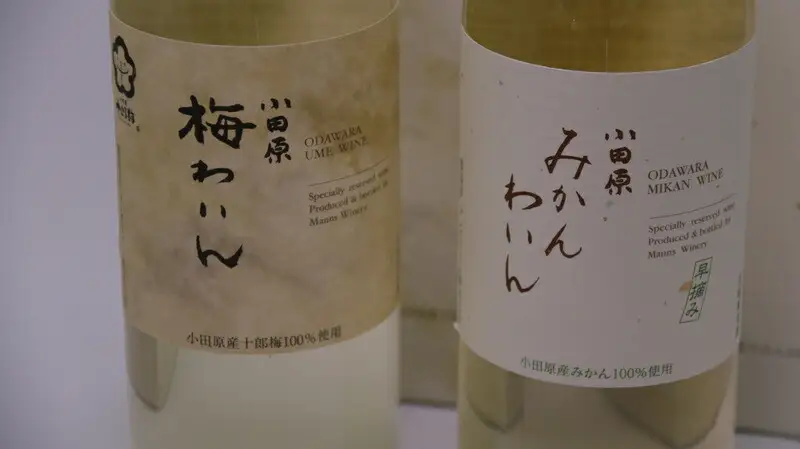 城下町小田原の飲み比べわいんBセット（2本セット)【ワイン】