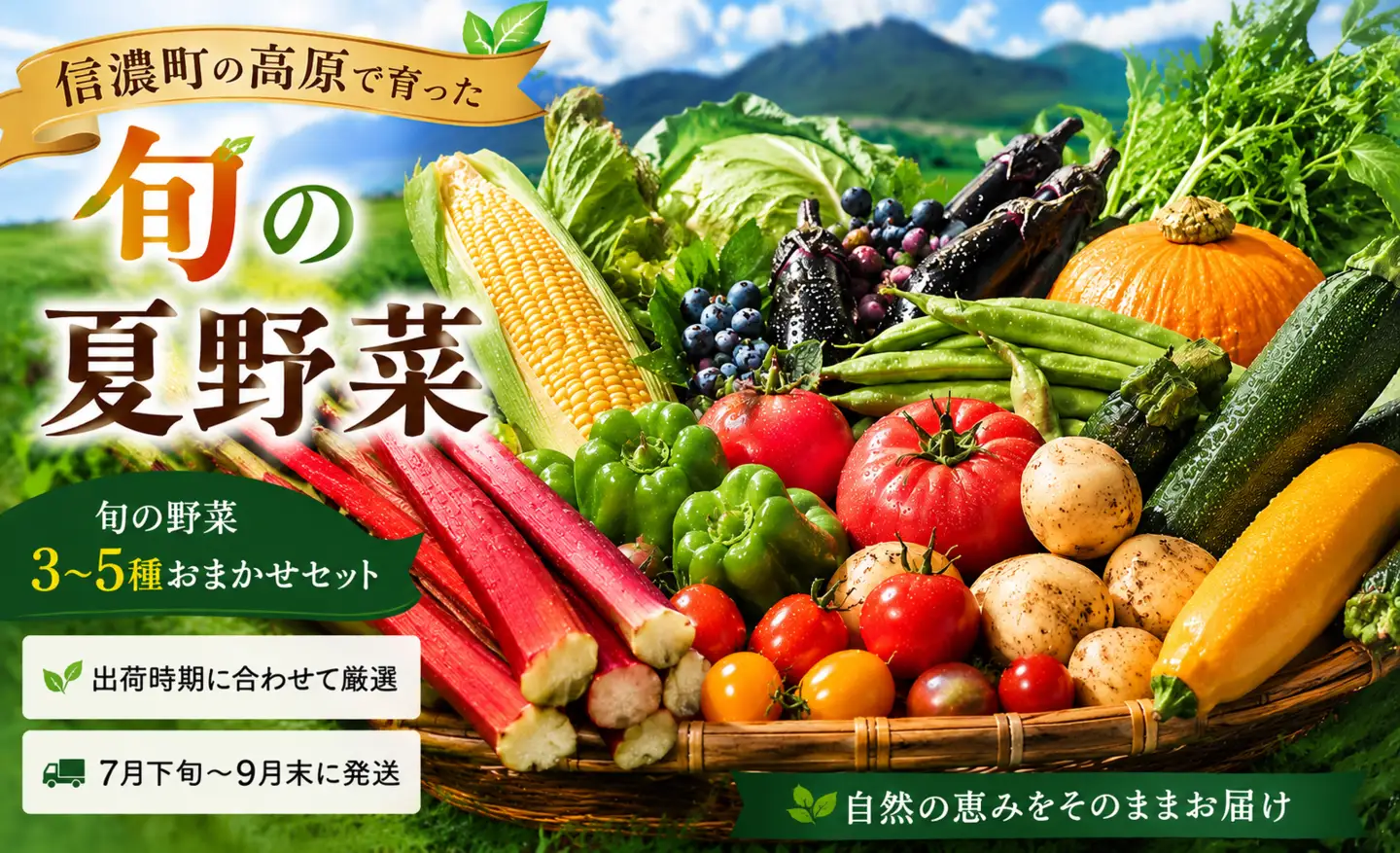 朝採り高原夏野菜3〜5種おまかせセット（7月下旬以降発送）【長野県 信州 信濃町ふるさと納税 ／道の駅しなの】