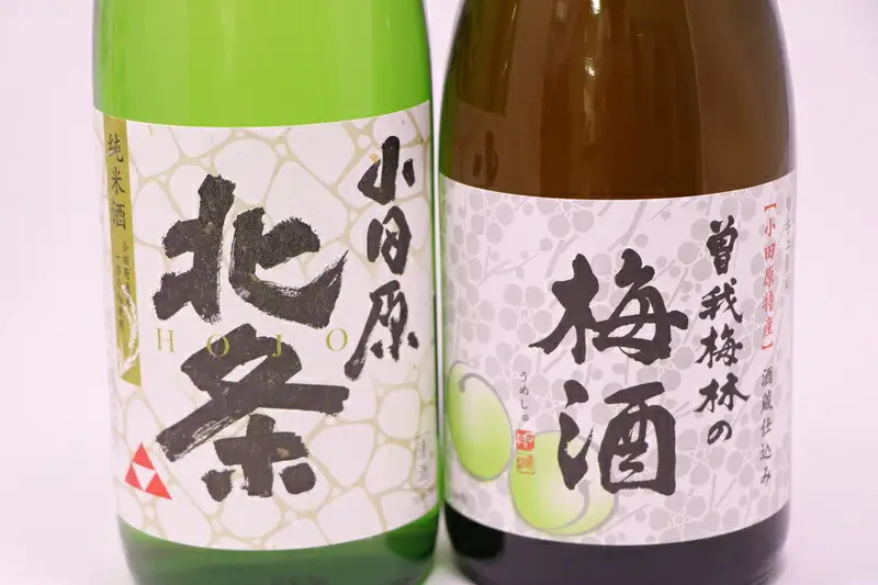小田原のめぐみ。北条純米酒と曽我梅酒2本セット【酒】