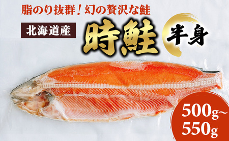 北海道産 時鮭 半身 500g～550g 鮭 さけ シャケ 魚 甘塩 冷凍 半身加工 旬 
