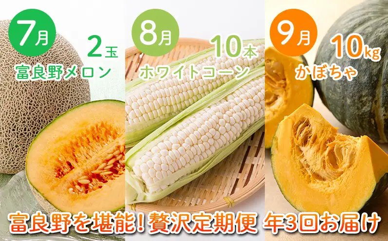 2026年夏～発送 富良野を堪能！贅沢 定期便 年3回  北海道 富良野産 とうもろこし メロン かぼちゃ 野菜 ふらの とうきび
