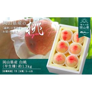2026年 先行予約 岡山県産 白 桃 （早生種） 約1.3kg 5～6玉（クール便） ｜ 桃