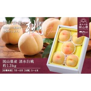 2026年 先行予約 岡山県産 清水 白 桃  約1.3kg 5～6玉（クール便） ｜ 桃