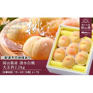 2026年 先行予約 岡山県産 清水 白 桃  大玉  約2.2kg 6～7玉（クール便） ｜ 桃