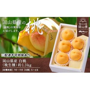 桃 2026年 岡山県産 白桃（晩生種） 約1.3kg 5～6玉（クール便）