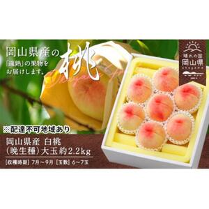 桃 2026年 岡山県産 白桃（晩生種） 大玉 約2.2kg 6～7玉（クール便）