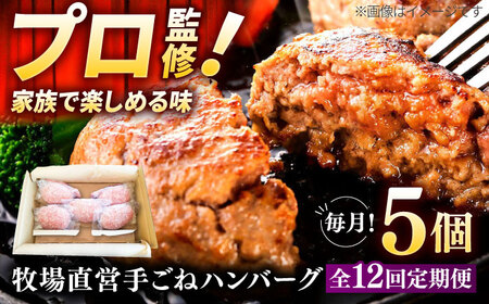 【12回定期便】自家製ハンバーグ5個 / ハンバーグ [IAX059]