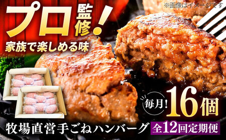 【12回定期便】自家製ハンバーグ16個 / ハンバーグ [IAX062]