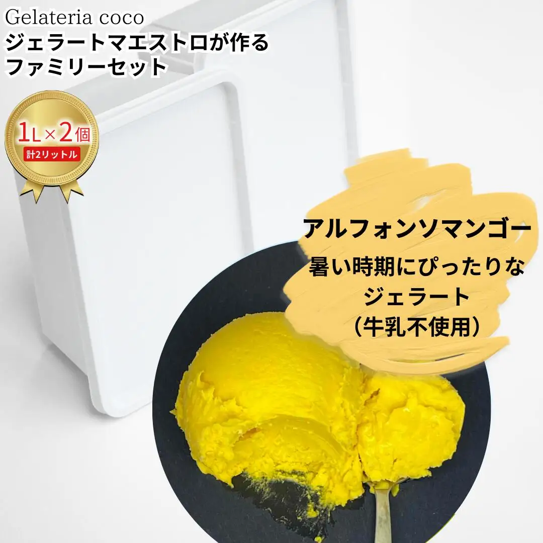ジェラートマエストロが作るファミリーセット 1L×2 合計2L[アルフォンソマンゴー×2] ジェラート アイス 大容量 ファミリーパック 添加物不使用  [Gelateria coco]【017S111】