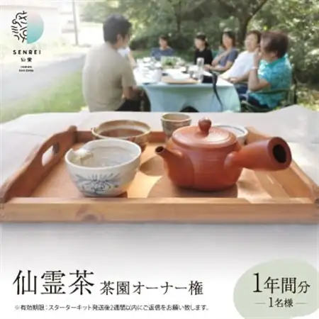 仙霊茶 茶園オーナー権(1年間分)【1469209】