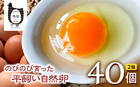 放し飼い 自然卵 「歩荷」 箱40個入 / 卵 たまご 鶏卵 玉子 平飼い / 稲沢市 / 平飼い自然卵歩荷 [BMBM002]