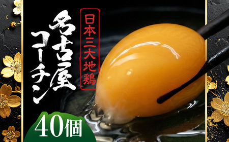 名古屋コーチン 卵 40個（20個入×2ケース）（保証4個含）【化粧箱入り】 / 卵 たまご 玉子 鶏卵 大容量 / 稲沢市 / 櫛田養鶏場 [BMAY001]