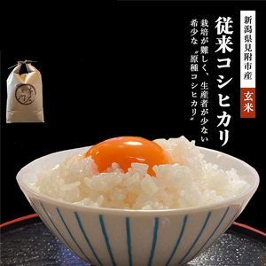 【ファーム喜左ヱ門】令和7年産 幻のお米従来コシヒカリ 玄米 10kg