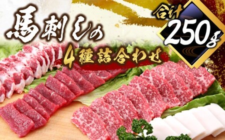馬刺し 詰合せ 計約250g 4種 馬肉 大トロ トロ身 赤身 たてがみ 食べ比べ たれ 生姜 冷凍
