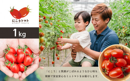 にこりトマト 1kg ｜ やさい 野菜 トマト ミニトマト アイコ 熊本県 玉名市		
