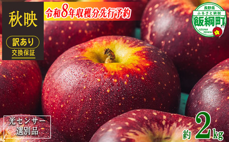 【 感謝りんご / 光センサー選別品 】 りんご 秋映 訳あり 2kg （ 5玉 〜 12玉 ） 交換保証 ながの農業協同組合 沖縄県への配送不可 2026年10月上旬頃から2026年10月下旬頃まで順次発送予定 令和8年度収穫分 傷 不揃い リンゴ 林檎 果物 フルーツ 信州 長野 予約 長野県 飯綱町 [1866]