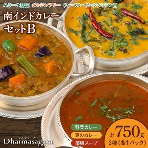 ダルマサーガラ　南インドカレーセットB_南インドカレー セット 3種 各1パック 計750g カレー ダルマサーガラ 野菜カレー 豆のカレー 薬膳スープ 中辛 野菜 豆 ムングダル 薬膳 酸味 スープ 本場 インドカレー 食品 南インド料理の専門店 冷凍 お取り寄せ 福岡県 久留米市 送料無料 〔Ca037〕