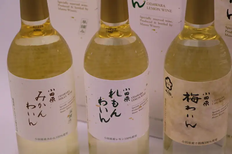 城下町小田原の飲み比べわいんCセット(3本セット)【ワイン】
