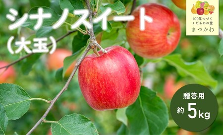 KR01 りんご シナノスイート 贈答【大玉】約5kg（8～13玉） / 10月中旬頃～配送予定 // 長野県 南信州 松川町産 ギフト りんご リンゴ 林檎 シナノスイート  農家直送 農家支援 産地直送