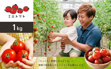 ミニトマト1kg ｜ やさい 野菜 トマト ミニトマト  1kg 熊本県 玉名市
