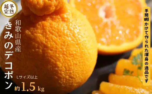  甘みと旨味がぎゅっと詰まった逸品！越冬完熟「きみのデコ」(デコポンと同品種) 1.5kg　サイズ混合 L以上 ご家庭用(秀優混合)/デコポン 不知火 柑橘  和歌山県 越冬 有機 【kmf012】