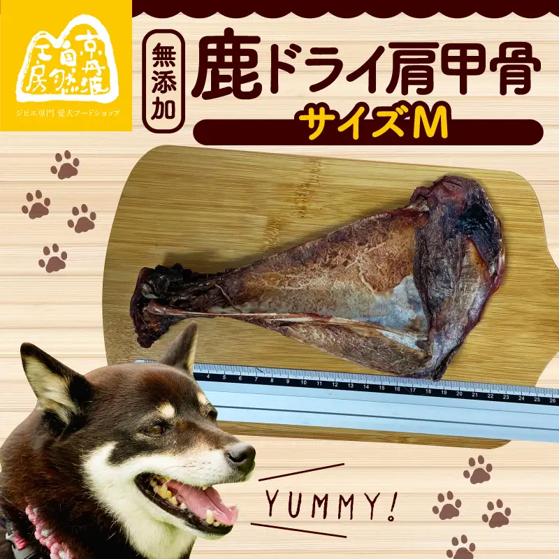 【 ペット用品 】鹿ドライ肩甲骨 Mサイズ
