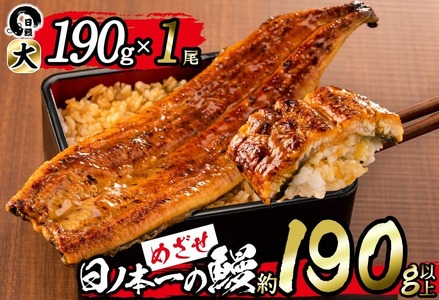 ＜肝串3本付き！＞日ノ本一の鰻の蒲焼き＜大＞1尾(約190g以上) うなぎ 鰻 ウナギ 国産 鹿児島県産 九州産 蒲焼き 冷凍 うな重 ひつまぶし a3-202-km