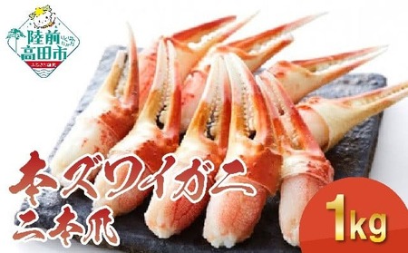 カニ 本ズワイガニ二本爪 1kg 【お手軽】 料理 寿司 冷凍 ｽﾞﾜｲｶﾞﾆｽﾞﾜｲｶﾞﾆ