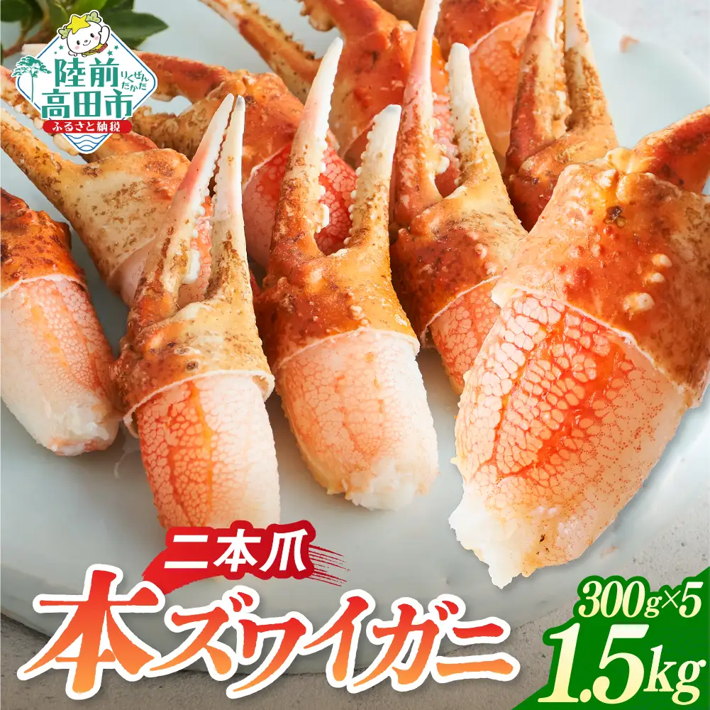 カニ 本ズワイガニ二本爪 1.5kg 【お手軽】 料理 寿司 冷凍 ｽﾞﾜｲｶﾞﾆｽﾞﾜｲｶﾞﾆ