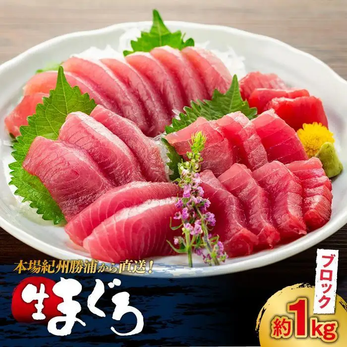 生まぐろの本場紀州勝浦から直送！生メバチマグロ 約1kg