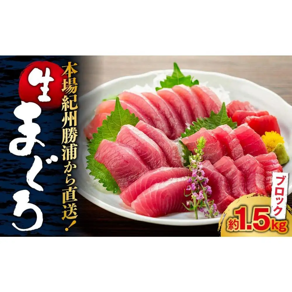 【定期便全3回】生まぐろの本場紀州勝浦から直送！ 生メバチマグロ 約1.5kg（1カ月に1回お届け）（全3ヵ月）