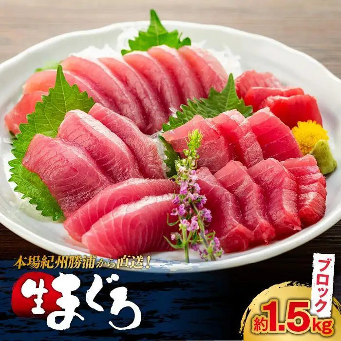 生まぐろの本場紀州勝浦から直送！生メバチマグロ 約1.5kg