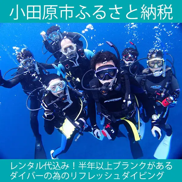 レンタル代込み！半年以上ブランクがあるダイバーの為のリフレッシュダイビング【1日】
