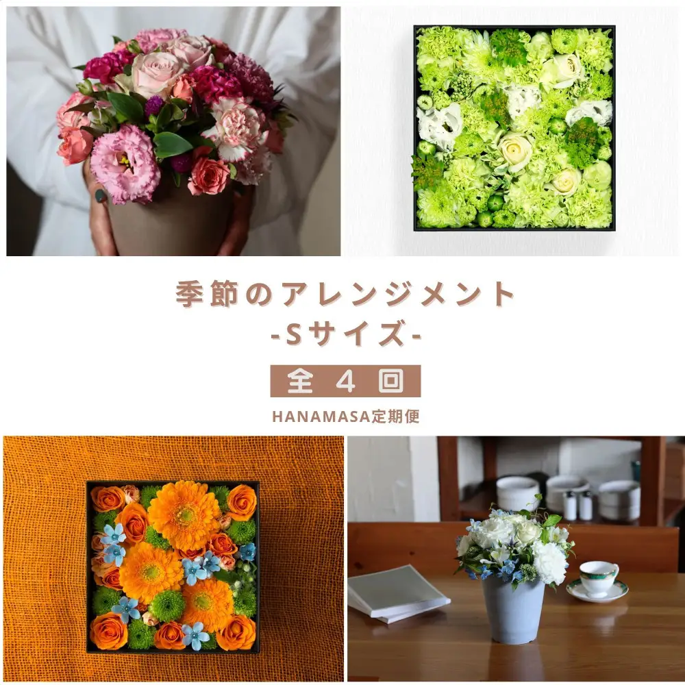 【お花の定期便】「季節毎」に届く、旬のアレンジメント Sサイズ（4回お届け）【「季節毎」に届く、旬のアレンジメント 世界らん展 フラワードリームジャパンカップ 国内主要コンテスト受賞 贈り物 神奈川県 小田原市 花 花】