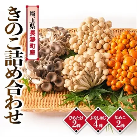 きのこ詰め合わせ(ぶなしめじ4株、なめこ2株、ひらたけ2株)【配送不可地域：離島・北海道・沖縄県・中国・四国・九州】【1296450】