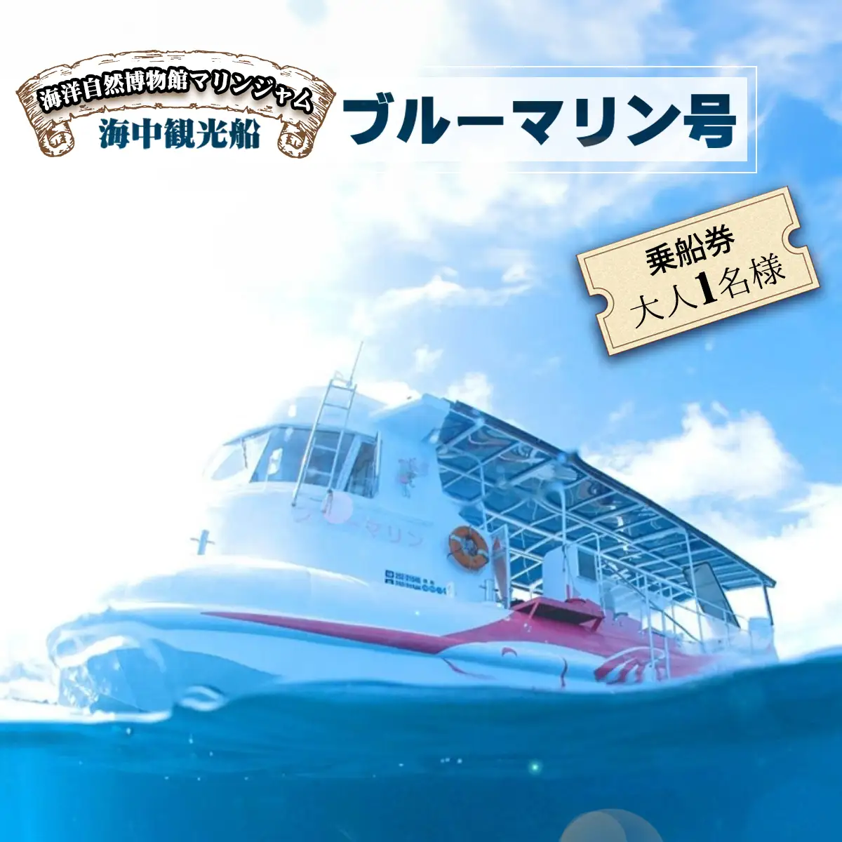 海中観光船 ブルーマリン号 乗船券 大人 1名様 グラスボート レジャー マリンジャム 竹ヶ島 竹ケ島 四国 徳島 徳島県 海陽 海陽町