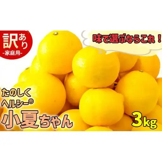 【訳あり】小夏 (日向夏) ヘルシー小夏ちゃん 3kg | 家庭用 期間 数量 限定 旬 人気 果物 くだもの 柑橘 フルーツ みかん ジュース 高知県 須崎市 KYM009