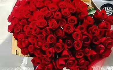 《記念日に届くお花シリーズ》赤バラの花束 108本「結婚して下さい」※配達エリア限定【記念日に届くお花 108本 世界らん展 フラワードリームジャパンカップ 国内主要コンテスト受賞 贈り物 神奈川県 小田原市 バラ バラ】