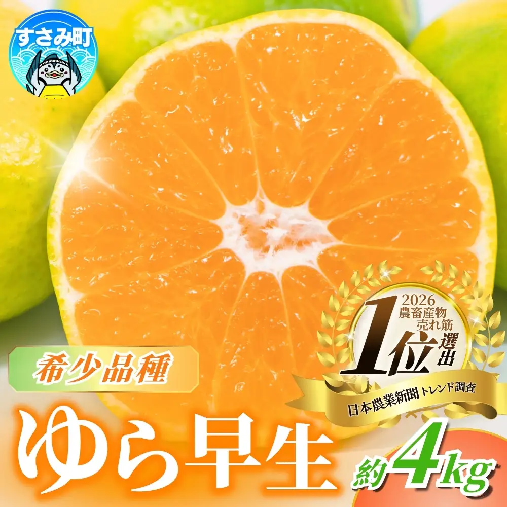 みかん【秋発送予約】 ゆら早生みかん 家庭用約4kg 【nuk162B】