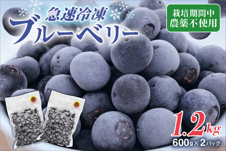 【2026年7月より順次発送】栽培期間中農薬不使用！急速冷凍ブルーベリー 1.2kg 【JAほたるの里】_HA1517 | ベリー フルーツ
