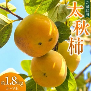 【訳あり品】【10月発送】池尻農園 太秋柿 5 ～ 9玉 約 1.8kg ご家庭用_訳あり品 10月より順次発送 池尻農園 太秋柿 5 ～ 9玉 約 1.8kg ご家庭用 柿 10月 最盛期 完全甘柿 早生品種 大玉 甘み 強い シャキシャキ 食感 条紋 美味しさ 際立つ 種 少ない 食べやすい 人気 国産 九州産 フルーツ 果物 お取り寄せ 福岡県 久留米市 〔Fk015〕