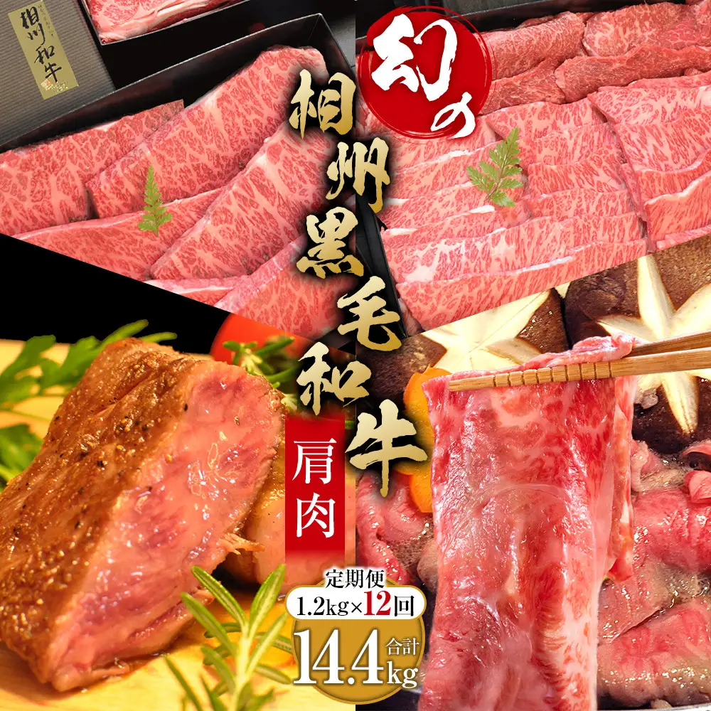 【牛肉 定期便 12回】 幻の相州黒毛和牛肩肉 1.2kg×12回 計14.4kg【相州黒毛和牛 相州牛 幻の牛肉 極上の旨味と風味 キメ細かな上質の脂 様々な料理に ブランド牛 ブランド牛肉 神奈川県 小田原市 】