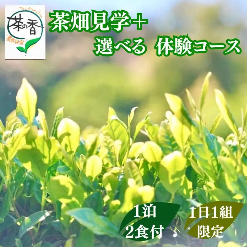 1日1組限定！！　茶畑見学＋選べる体験コース　1泊2日朝夕食事付 お1人様招待券 / 和歌山 田辺市 お茶 体験 宿泊 茶畑 飲み比べ 食事付 【ntc016】